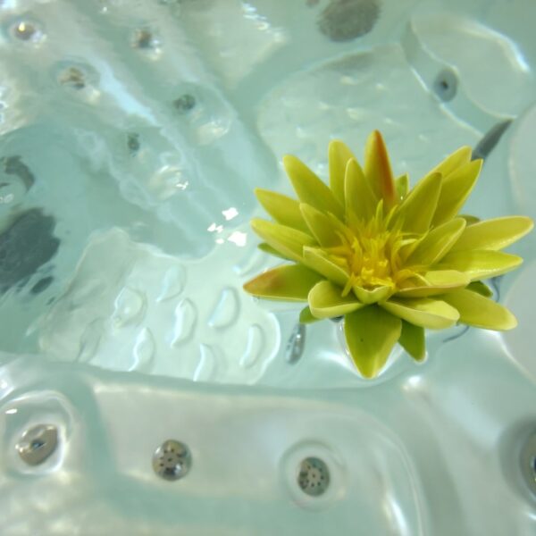 flower floating on water in hot tub